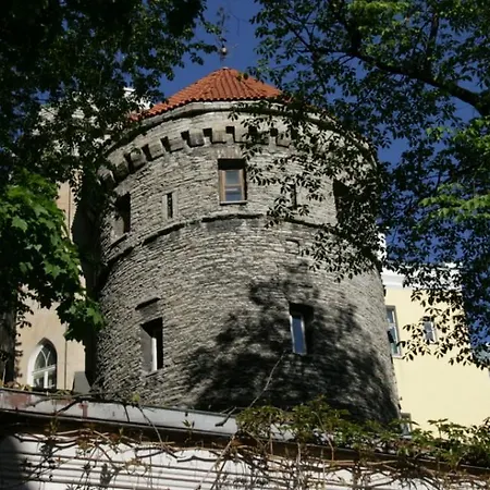 Rapunzel Tower *