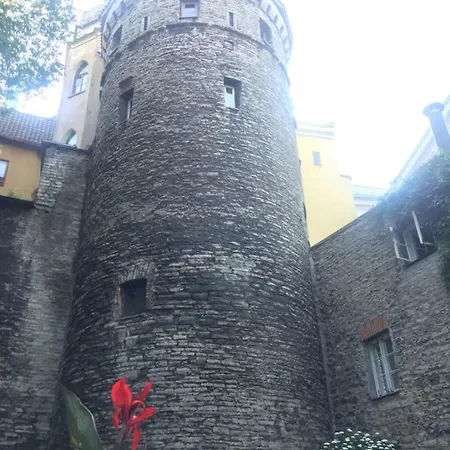 Rapunzel Tower