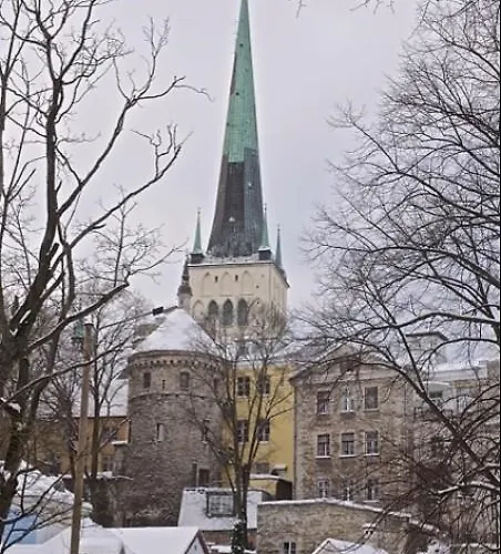 Rapunzel Tower Hotel Tallinn