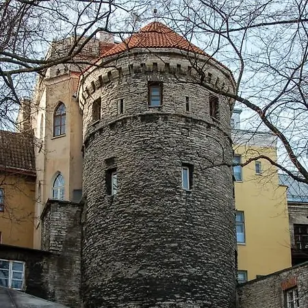 فندق Rapunzel Tower